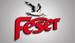 feser-ki-logo-muster_01