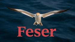 feser-ki-logo-muster_02