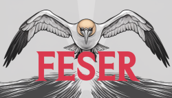 feser-ki-logo-muster_03