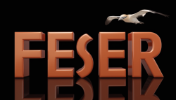 feser-ki-logo-muster_22