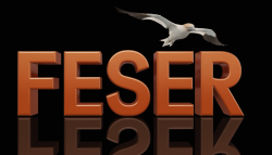 feser-ki-logo-muster_24